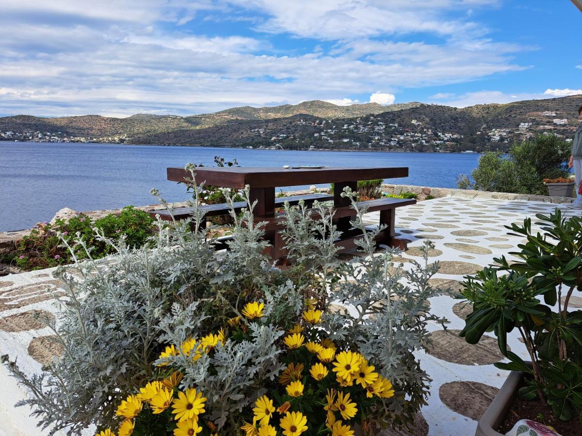 Almyra Seaside Perdika (Aegina)