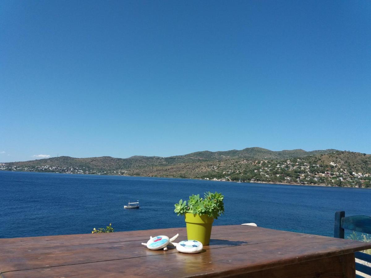 Almyra Seaside Holiday home